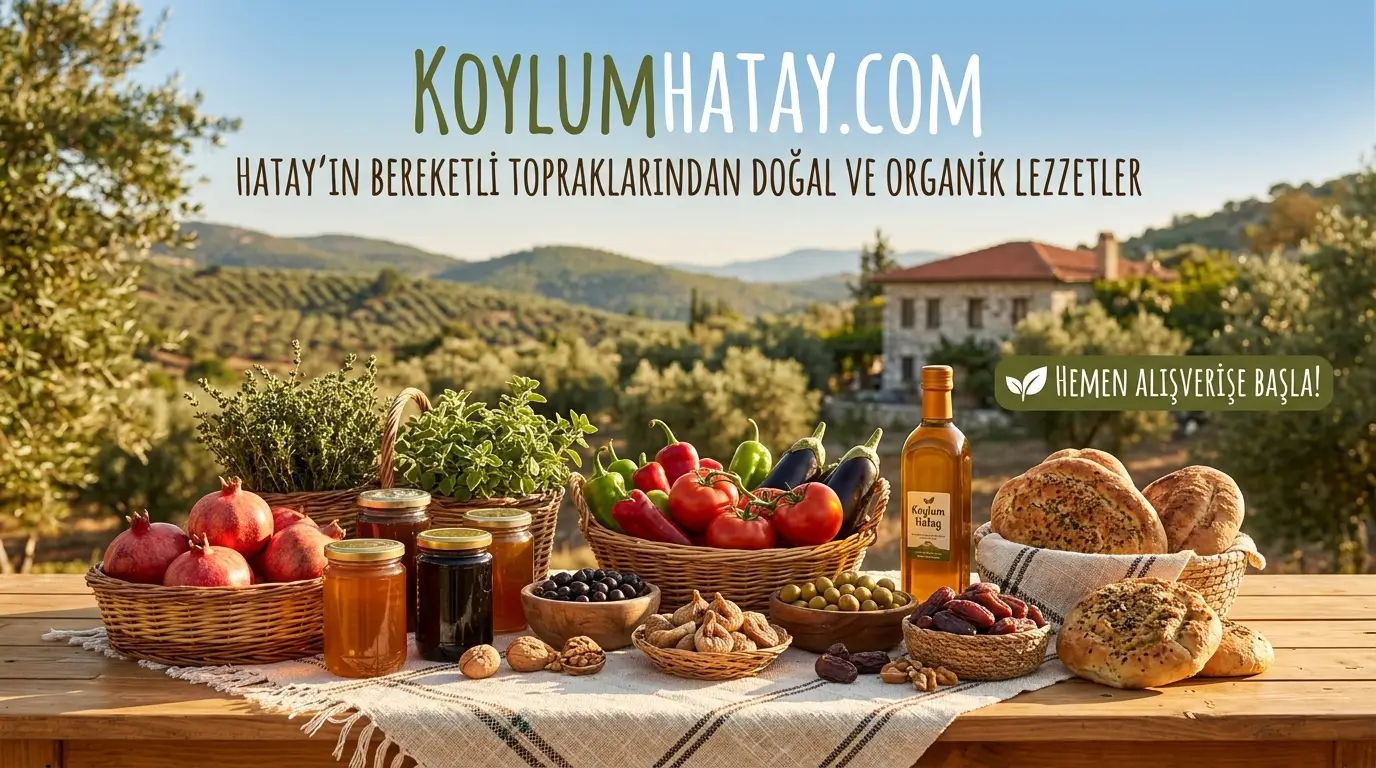 Sağlıklı Beslenmenin Önemi