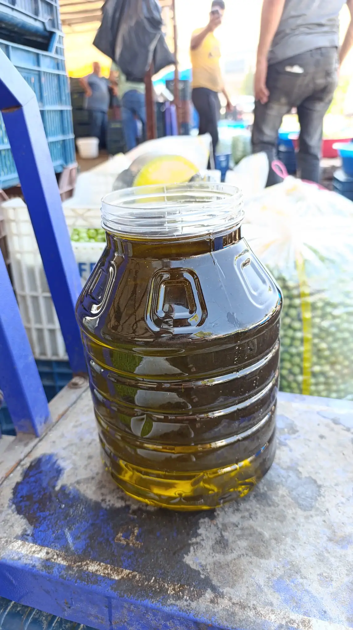 5 Lt Zeytinyag
