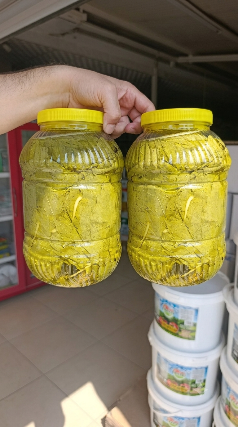 2 bidon yeni mahsul salamura yaprak