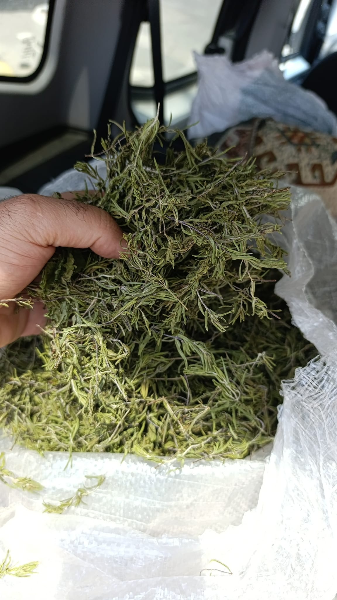 Kuru dağ kekik 250gr