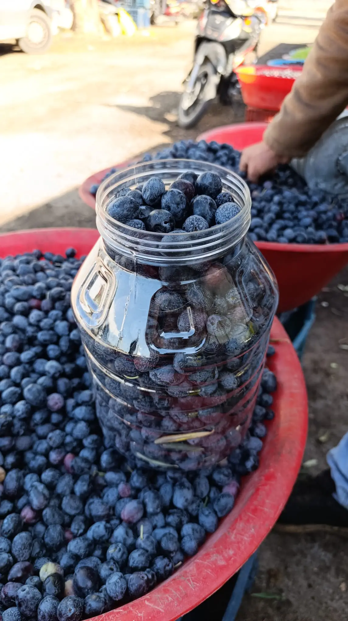 5 Lik Bidon Attun Siyah Zeytin