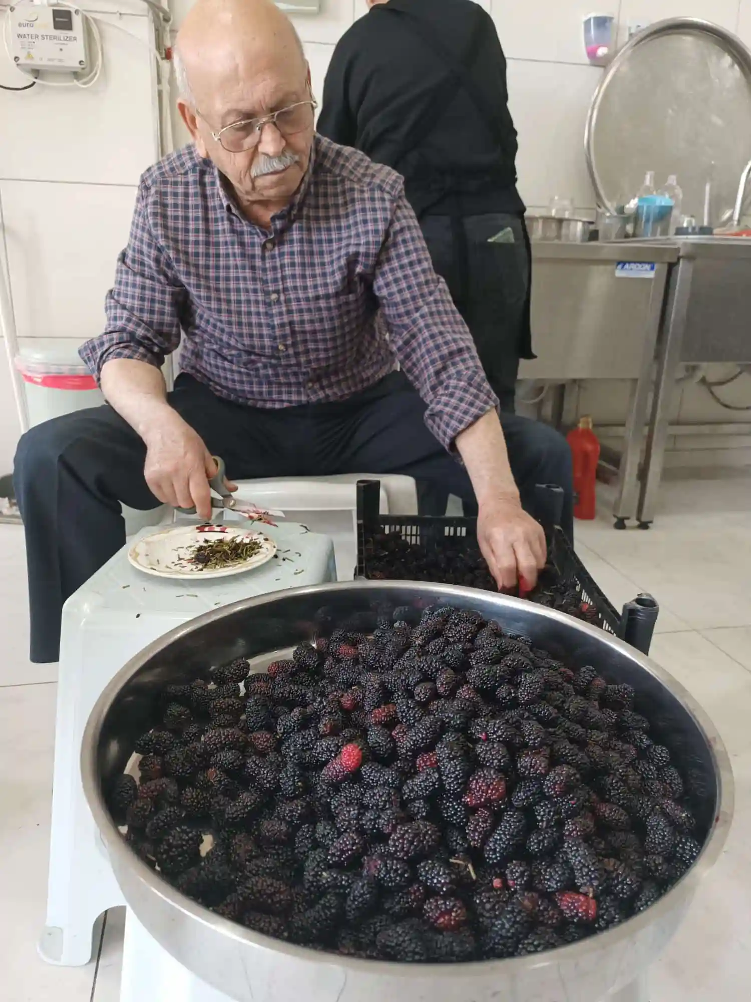 Dut Özü kg