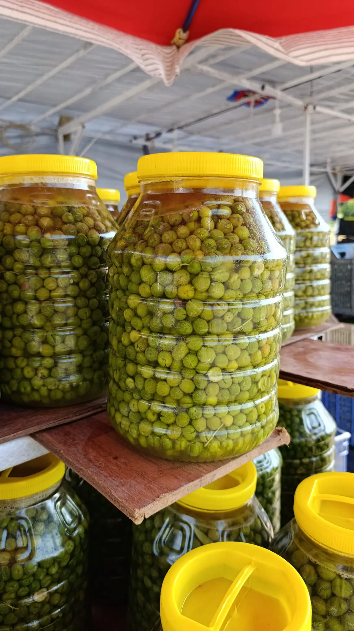 5 Lik Bidon Minik Yesil Zeytin