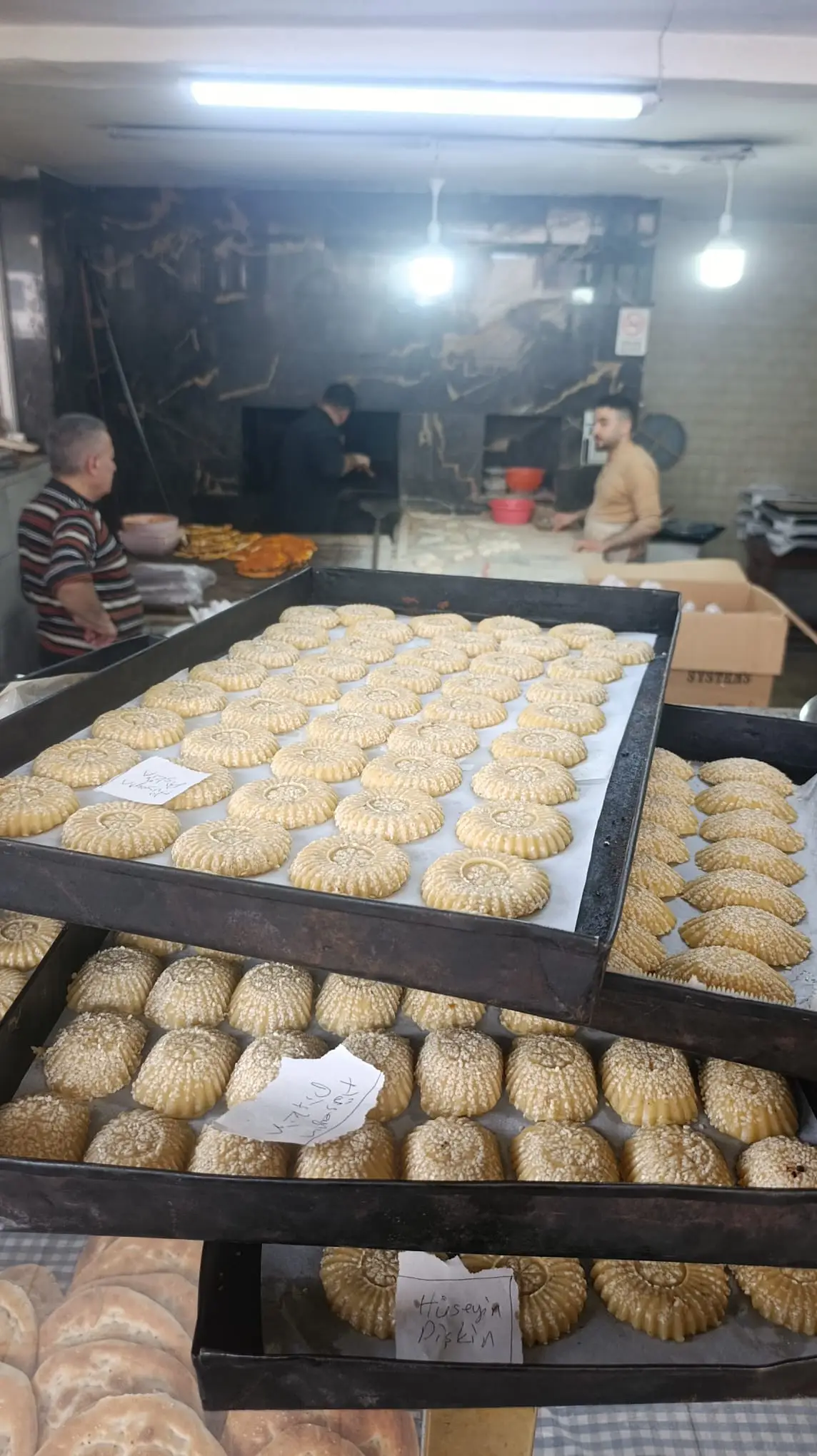 Cevizli Kömbe kg