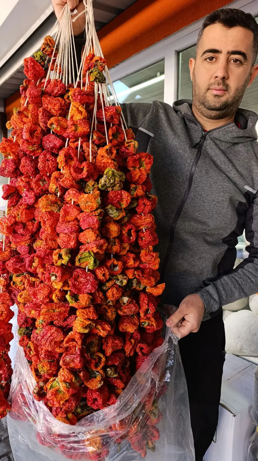 Kuru Dolmalık Biber