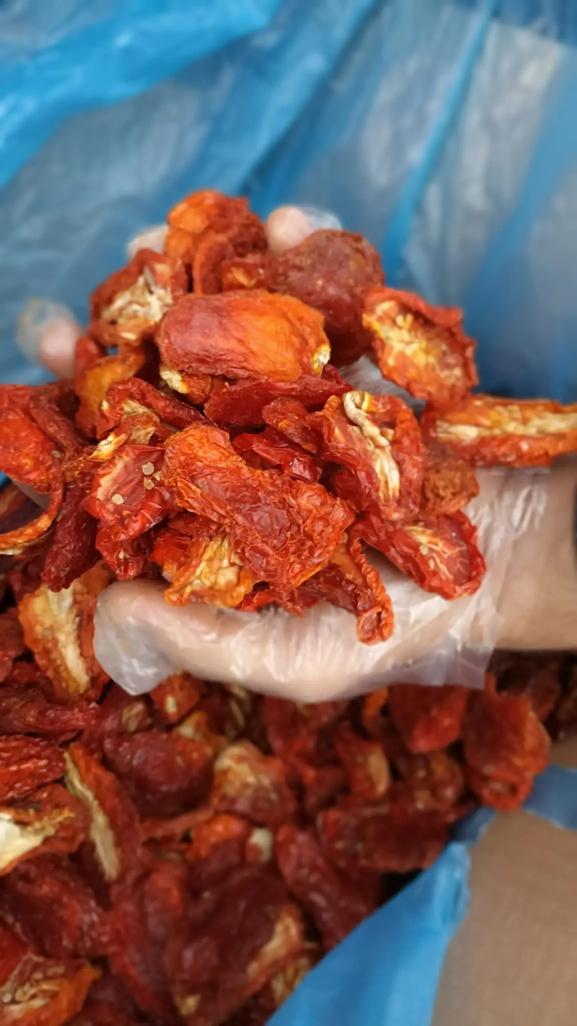 Kuru Doamtes kg