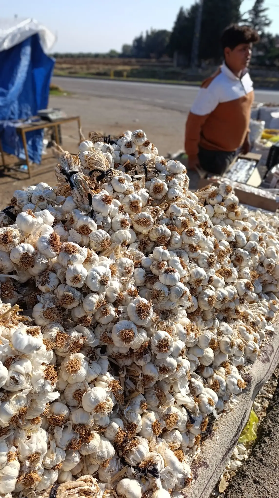 Sarımsak kg