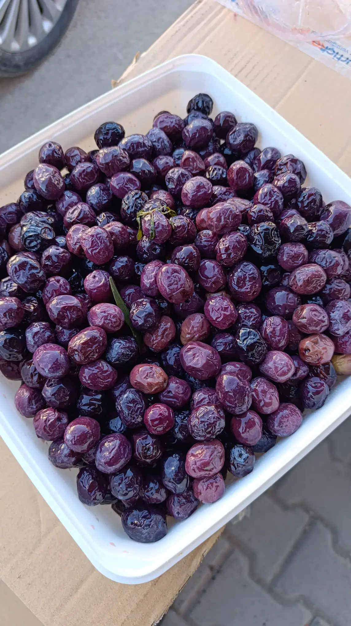 Siyah Sele Zeytin
