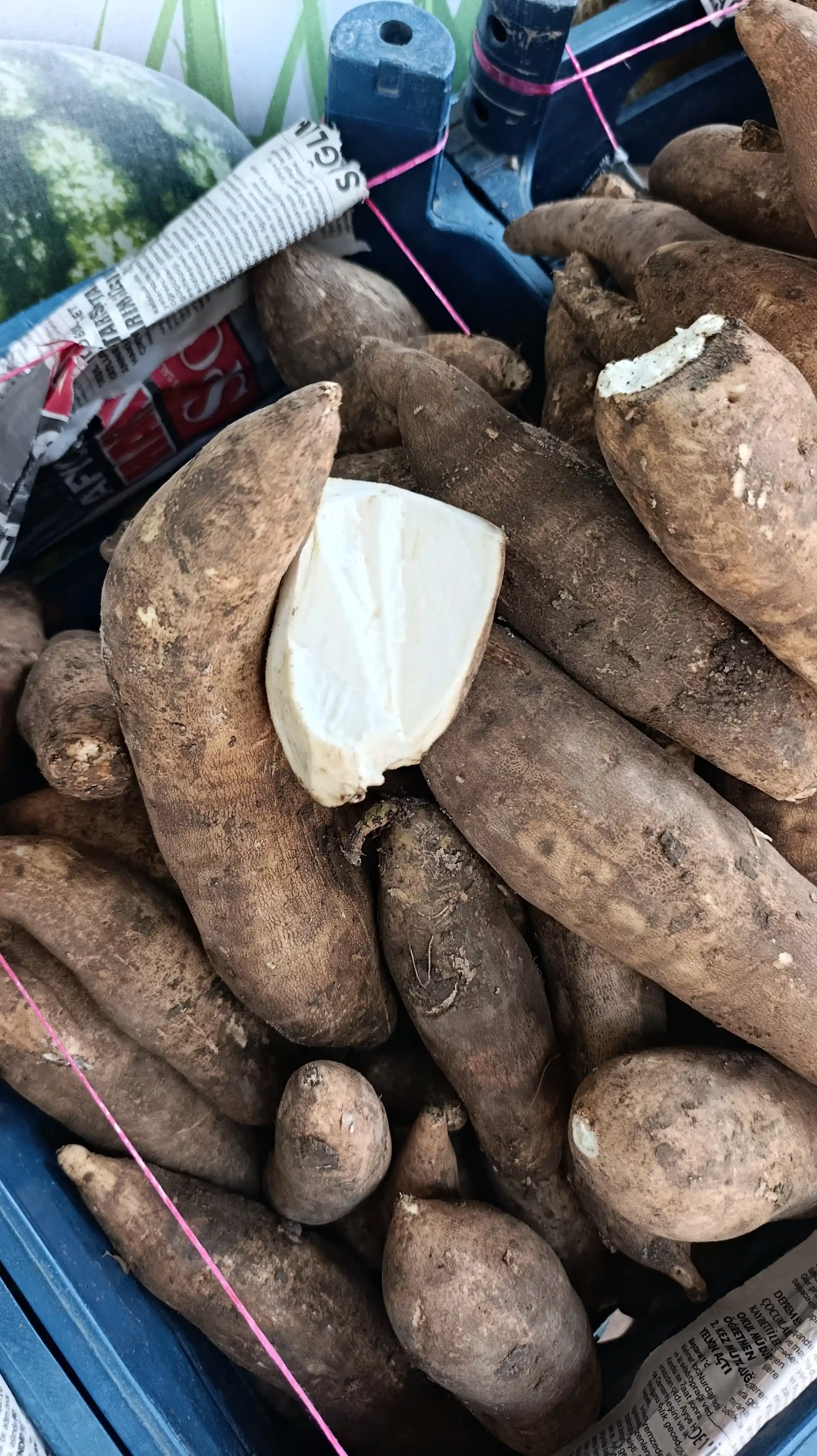 Tatlı patates kg