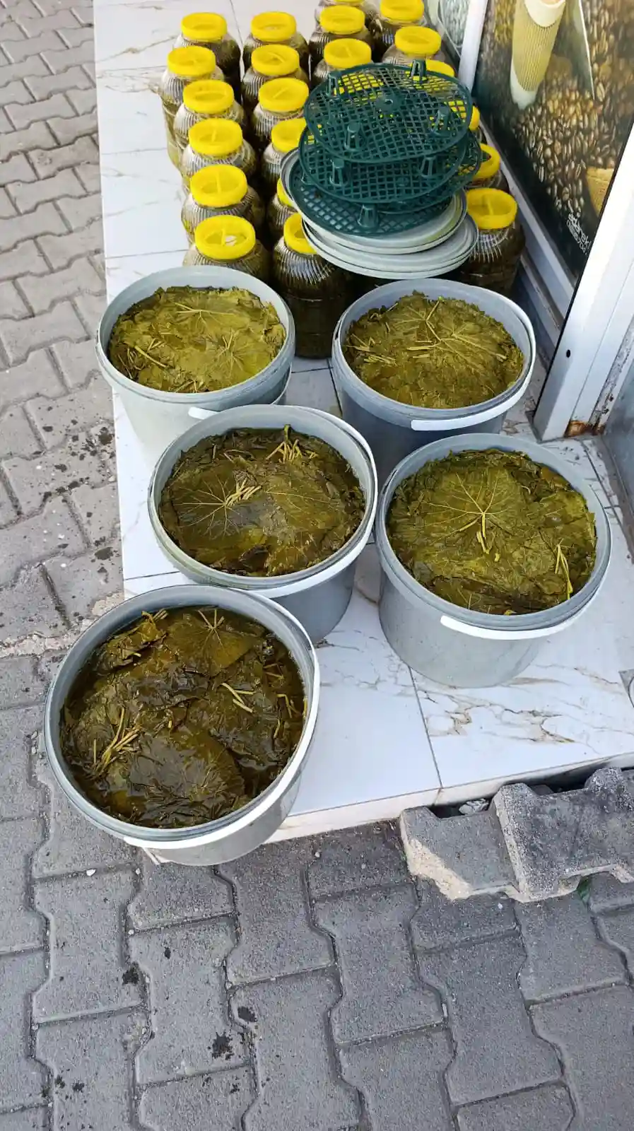 10KG Kova yaprak