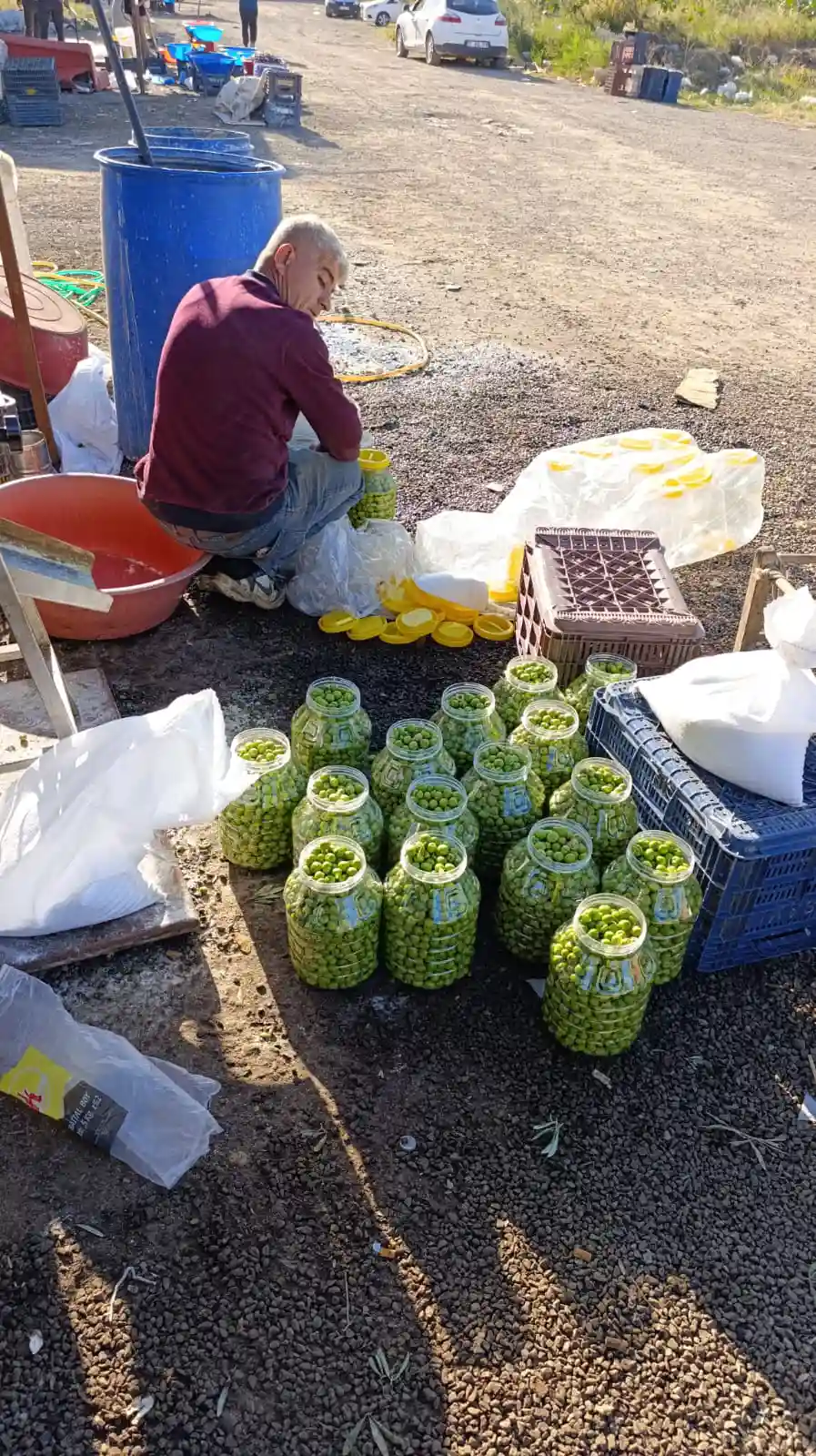 Yeşil zeytin 2 Adet 5 lik Bidon