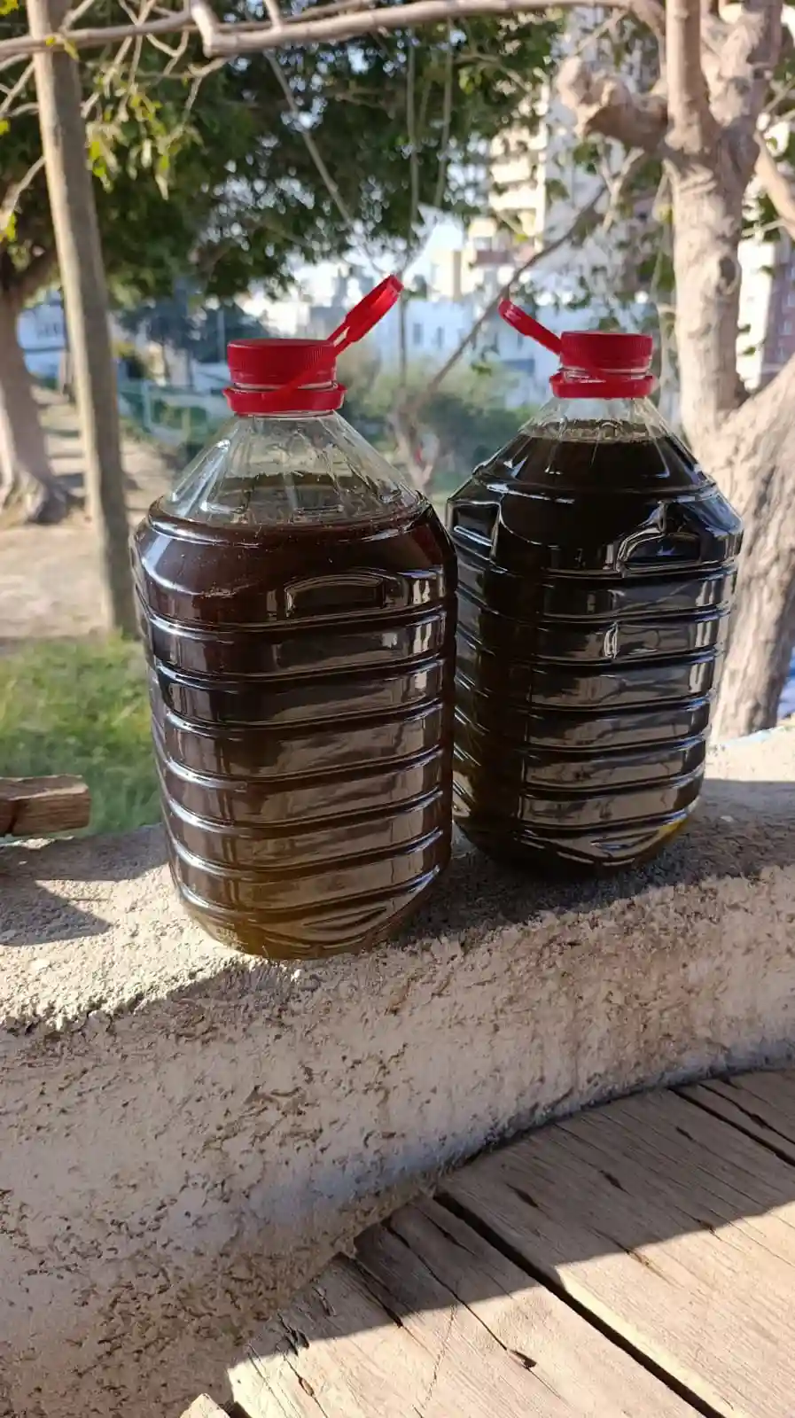 10 lt zeytinyağ